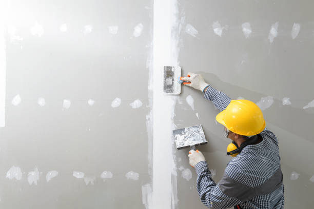 Best Drywall Sanding and Smoothing  in Egan, LA